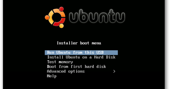 How To Boot And Install Linux From Usb Flash Drive